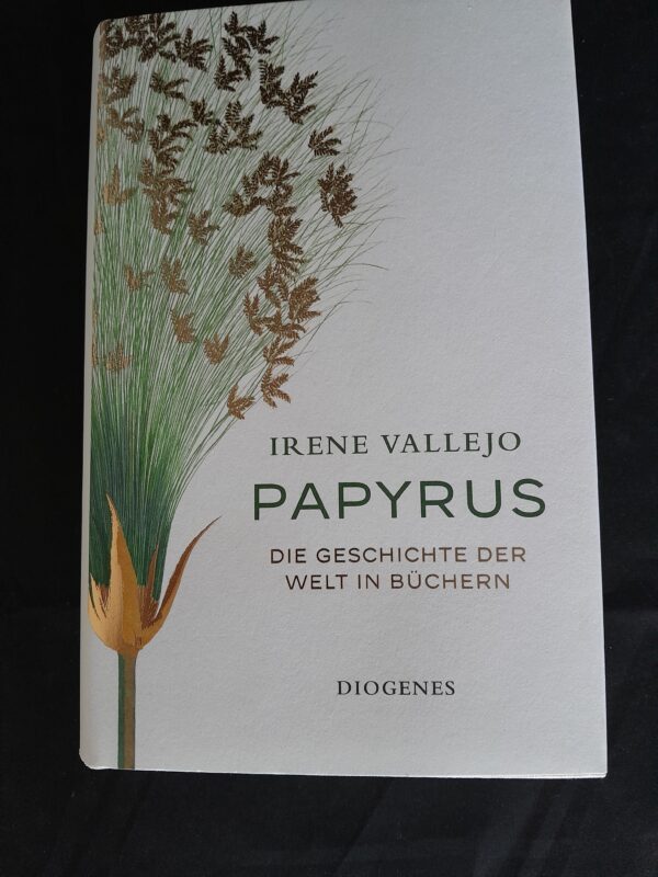 Irene Vallejo: Papyrus. Die Geschichte der Welt in Büchern